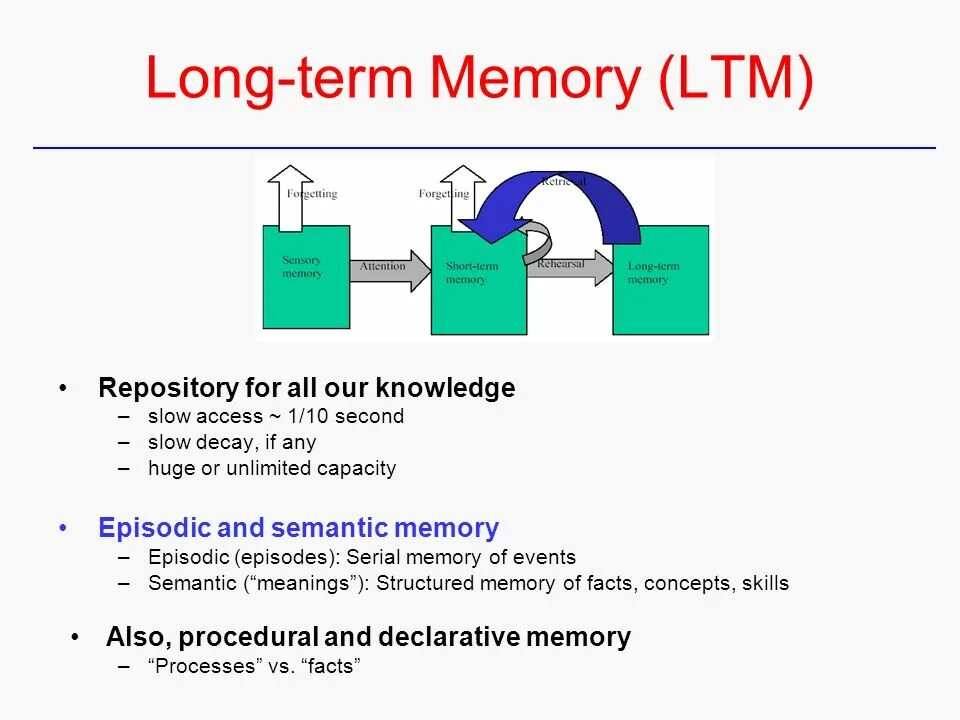 Memory processes. Memory processes