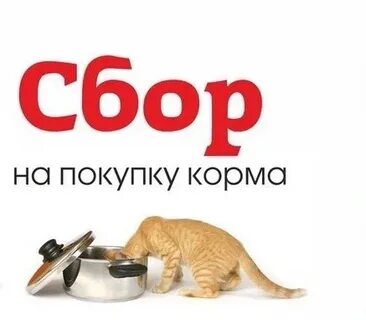 Сбор корма для кошек