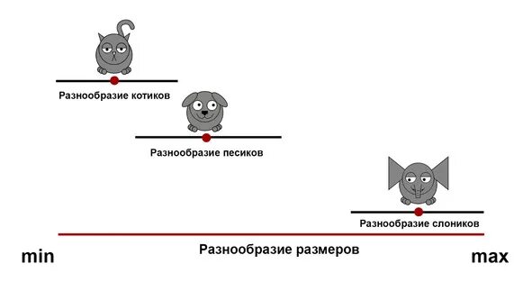 Статистика котов. Статистика и котики. Статистика и котики книга.