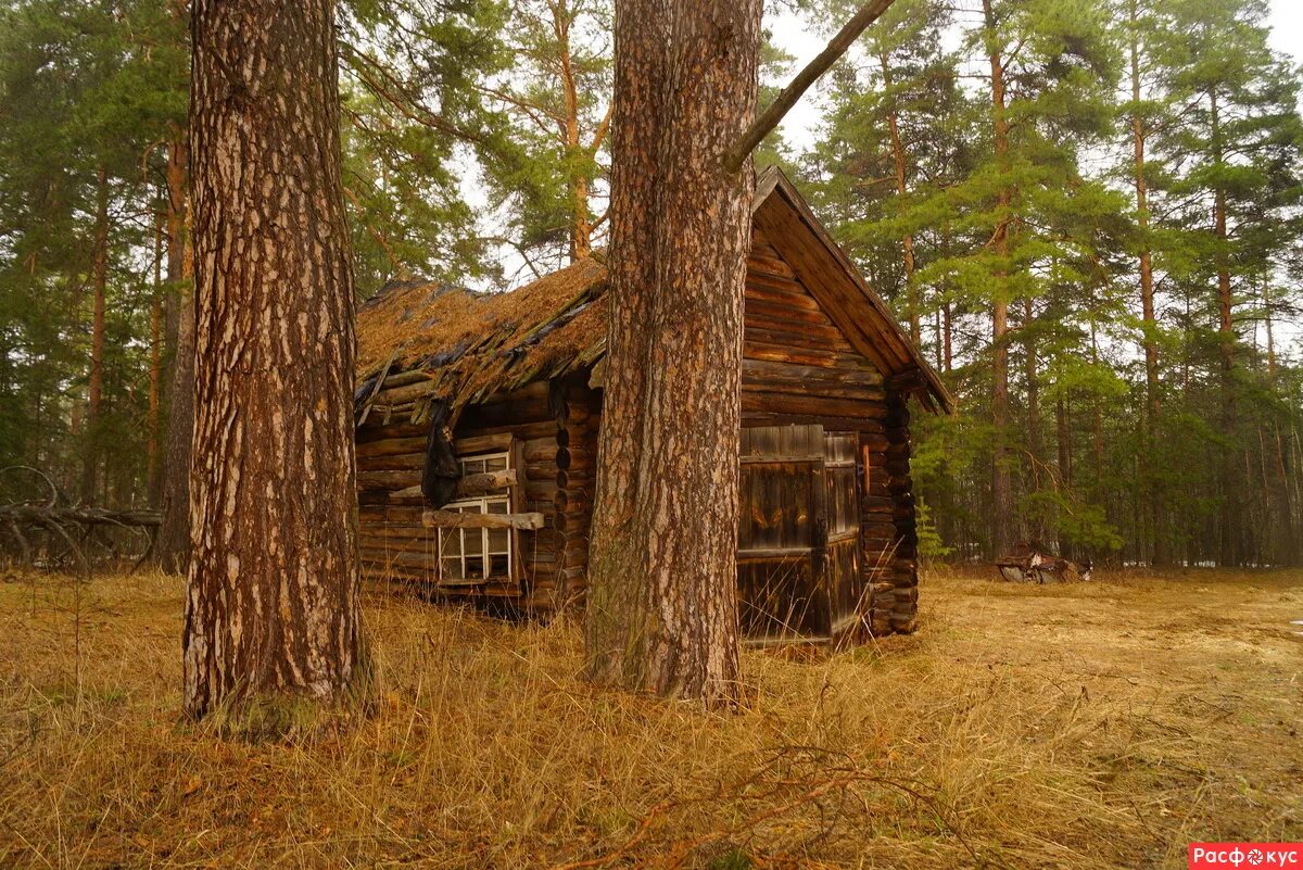 гдз по русскому языку 9 класс хороши летние туманные. московская область, г. дача ковальчука в колосково. дом на мещере. маленький дом в мещере заслуживает описания.