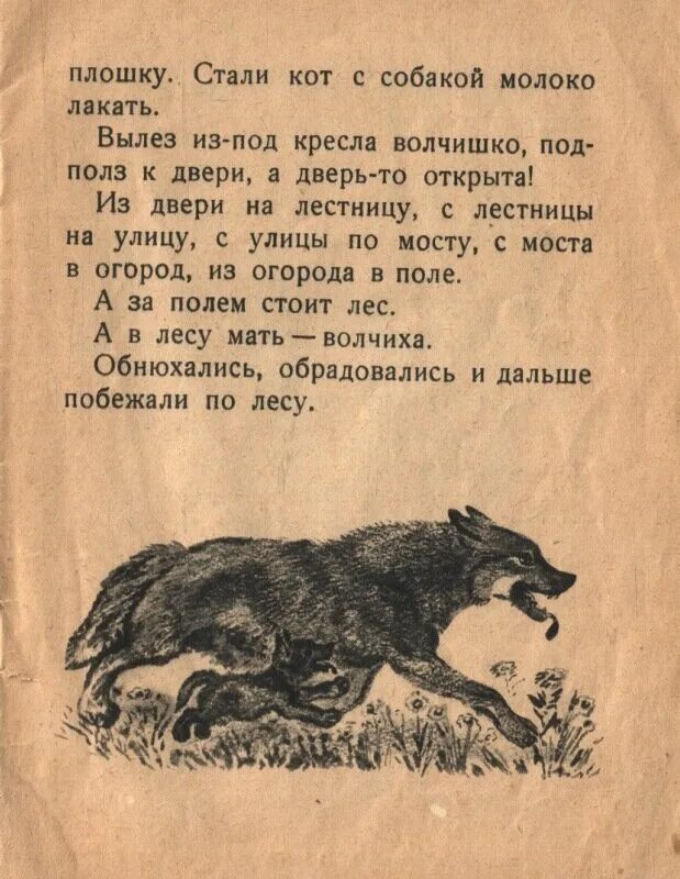 Волчишка вылез осмотрелся походил