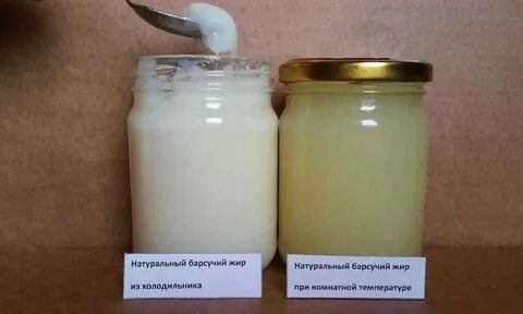 При кашле можно пить барсучий жир