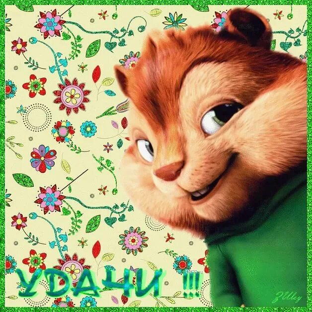 Картинки на все случаи