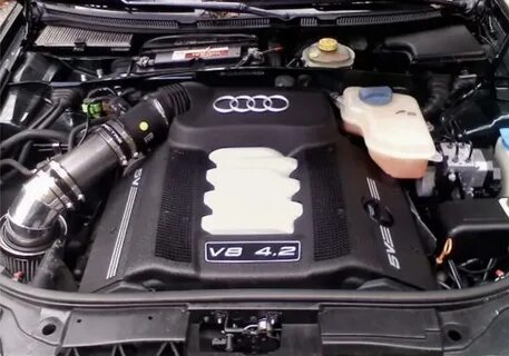 Әдемі пискалары бар порно