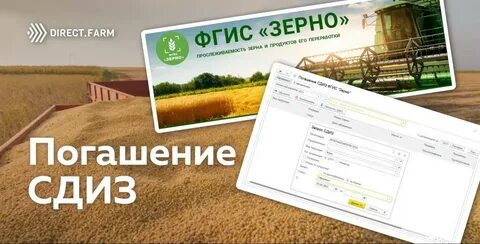 Как погасить сдиз