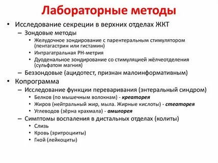 Исследование системы пищеварения