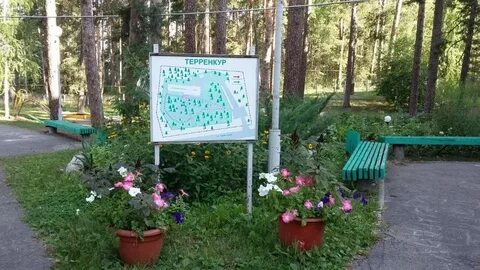 Санаторий сосновый бор марий эл