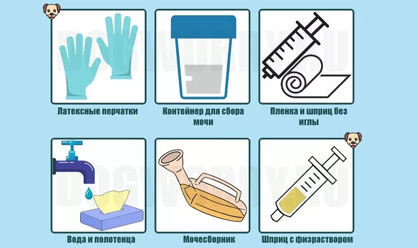 Собрать мочу с вечера на анализ. Приспособление для сбора мочи у собак. Сбор мочи у собаки. Как собрать мочу у собаки. Как собрать анализ мочи у собаки.