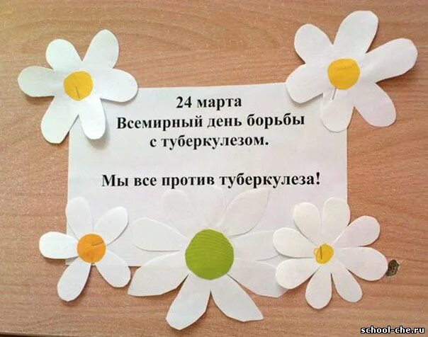 Мероприятие ко дню туберкулеза. День борьбы против туберкулеза. Ромашка символ борьбы с туберкулезом. Акция Ромашка против туберкулеза. Акция против туберкулеза белая Ромашка.