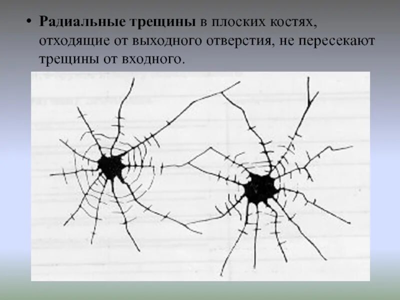 Ростов трещина. Радиальные трещины. Звездообразная трещина. Радиальные и концентрические трещины. Радиальные трещины на стекле.