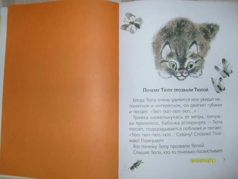 Котенок тюпа чарушин. Котенок тюпа. Кто такой тюпа. И. Почему тюпу прозвали тюпой рисунок.