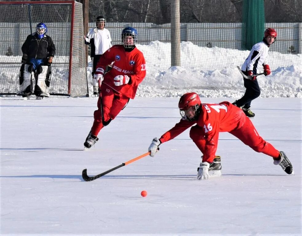 хоккей с мячом хакасия. саяны абакан хоккей с мячом. штурм абакан хоккей с мячом. чемпионат хакасии по хоккею. хоккей хакасии.