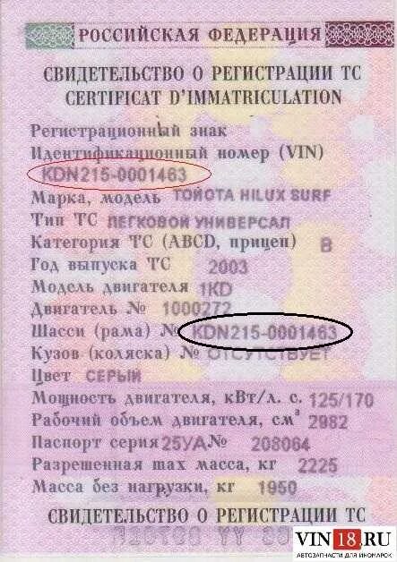 Идентификационный номер vin отсутствует. Идентификационный номер VIN Hyundai Sonata 2005. Вин-код автомобиля в ПТС. Номер кузова автомобиля. VIN номер в ПТС.