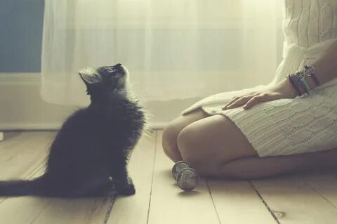Одиночество с котом