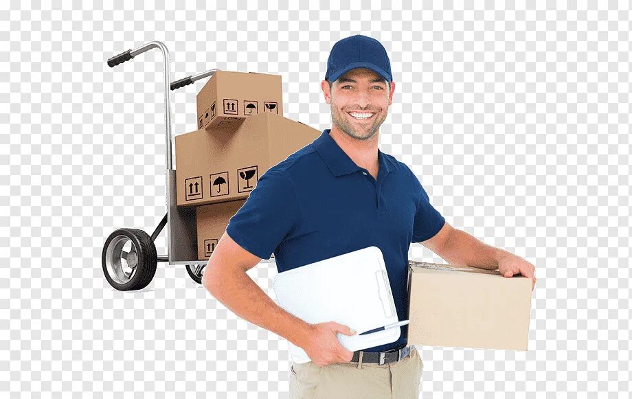 Завод ниссан в японии. Работники организации. Легковые прицепы мзса 817700. В фирме в наличии 20 легковых. Автоваз эмблема.