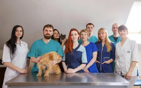 Ветеринарный центр 1 батайск отзывы
