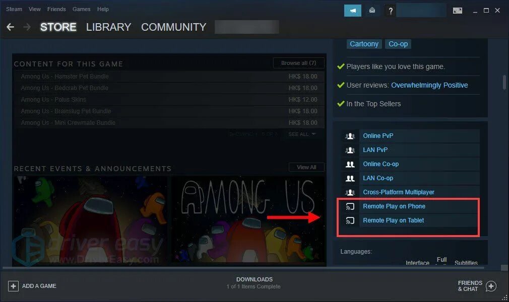 Как отключить steam remote. Remote play в стиме. ремоте плей стим на пк. как работает трансляция в стиме. как отключить steam remote play.