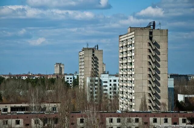 Ответы : Если продают квартиру на первом этаже, дом 16 этажка, цена заниж