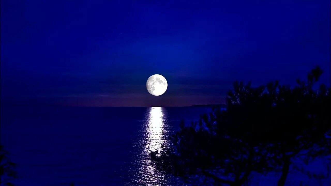 Черное море - стихотворение поэта