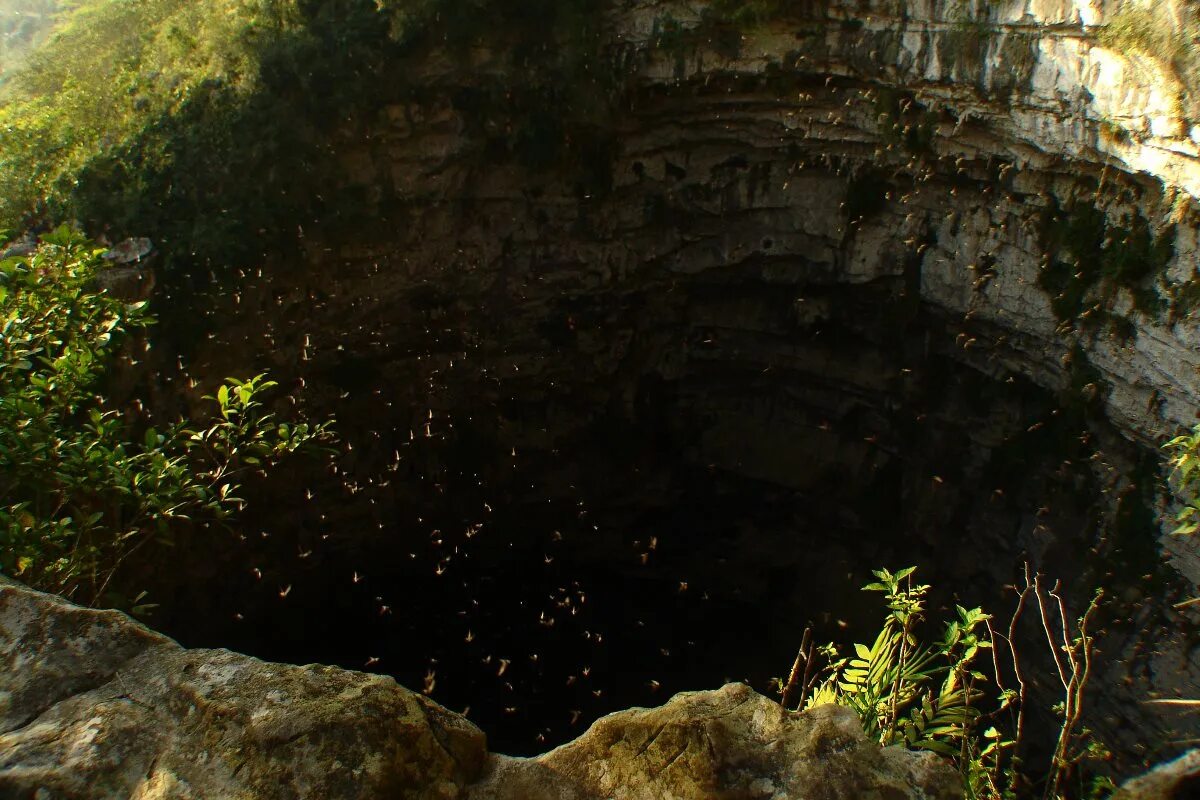 пещера ала. пещера ласточкино гнездо мексика. санктум пещера. пещера ала. пещера ала.