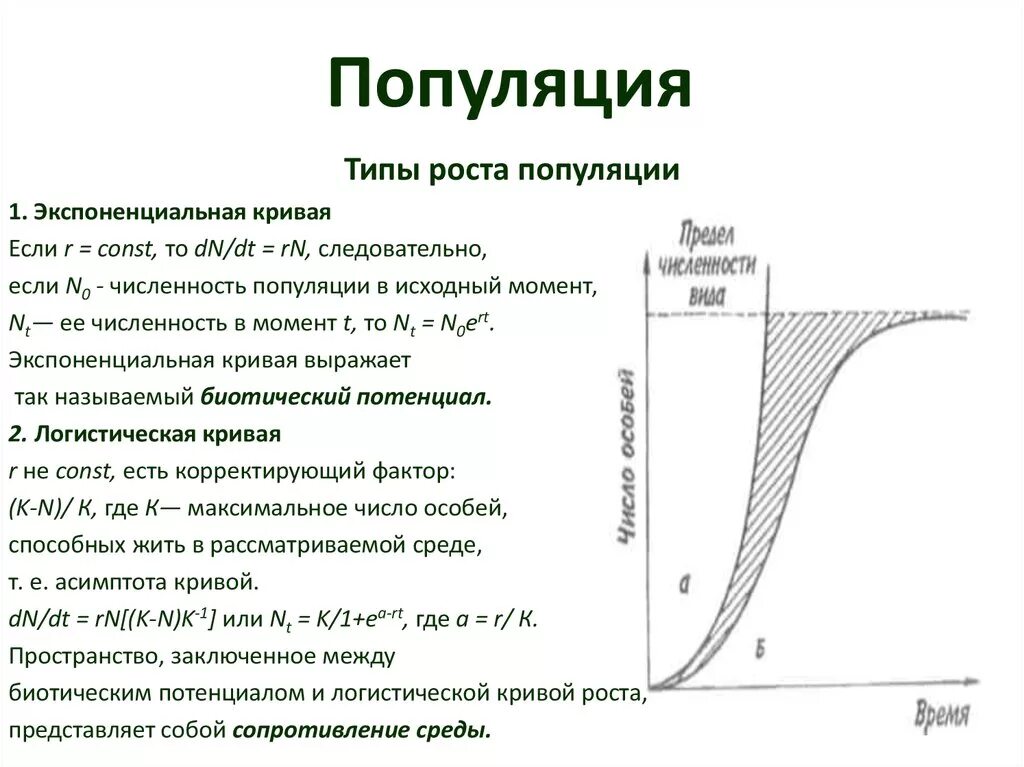 Экспоненциальная кривая роста популяции. График экспоненциального роста популяции. Непрерывный рост популяции график. Типы роста популяций. Линейный и экспоненциальный рост презентация