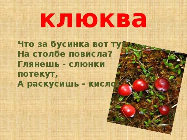 Загадка про клюкву. Загадка про клюкву для детей. Проект по теме клюква. Загадка про клюкву для детей 6-7 лет.