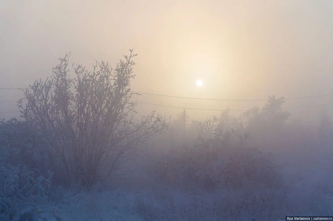 Сильные морозы в якутске. Морозы в Якутии. Якутск Мороз. Якутия холод. Мороз -60.