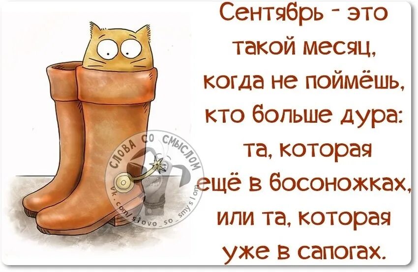 Цитата сапоги. Смешные высказывания про осень. Цитаты про осень смешные. Смешные фразы про осень. Афоризмы про осень смешные.