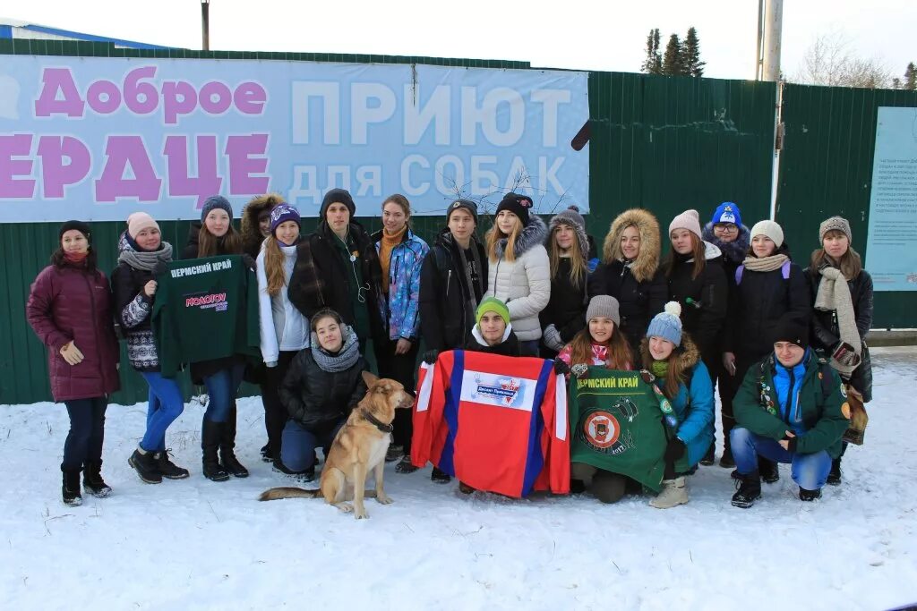 Приют доброе сердце