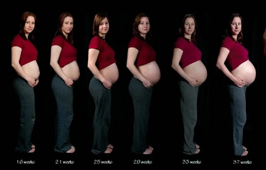 Когда первая беременность начнет расти. Живот при беременности. Живот по неделям беременности. Живот у беременных по месяцам. Размер живота у беременных по месяцам.