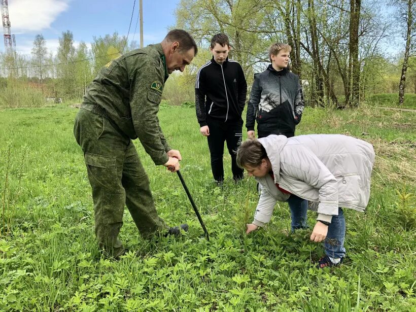 Оборонлес лес Победы. Посадка леса. Высадка деревьев в Сибири. Школьники сажают деревья. Конкурс чалавек свайго лесу