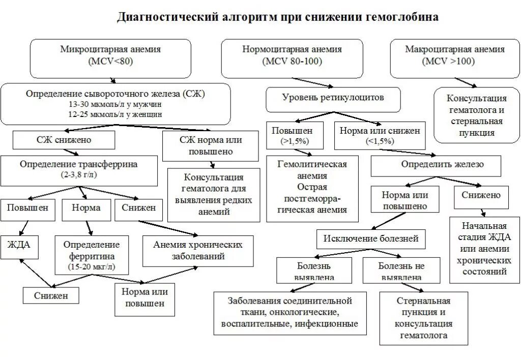 При анемии снижается. Алгоритм диагностики анемии. Алгоритм диагностического поиска при гипохромной анемии. Анемический синдром. Алгоритм диагностики. Алгоритм определения анемии.