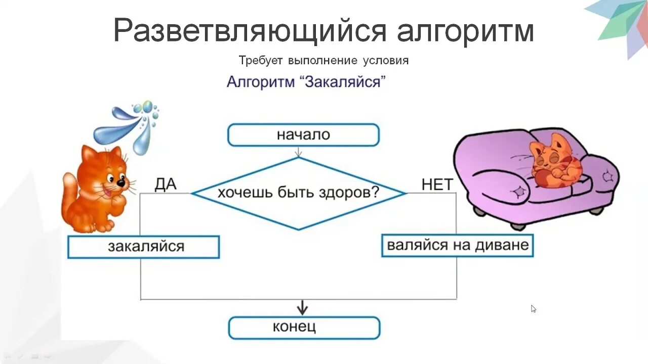 Алгоритмы с ветвлением 6 класс Информатика. Алгоритм ветвления примеры Информатика. Информатика 3 класс разветвляющийся алгоритм. Алгоритм с ветвлением 5 класс Информатика. Практическая работа разветвляющиеся алгоритмы