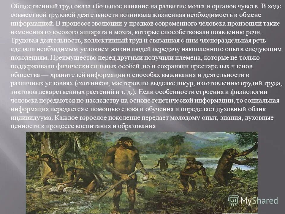 Семья на даче в огороде. Присваивающее и производящее хозяйство. Основные занятия наших предков. Когда возникла речь. Занятия предков.