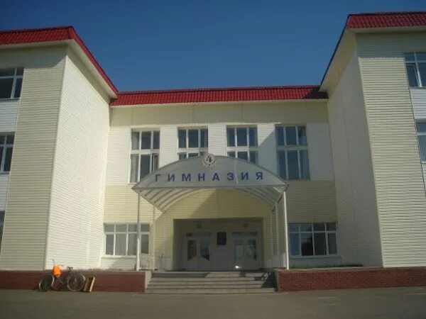 Гимназия 4 оренбург. Школа экодолье оренбург. Лицей № 4 ул. Оренбург. Школа интернат 4 оренбург.