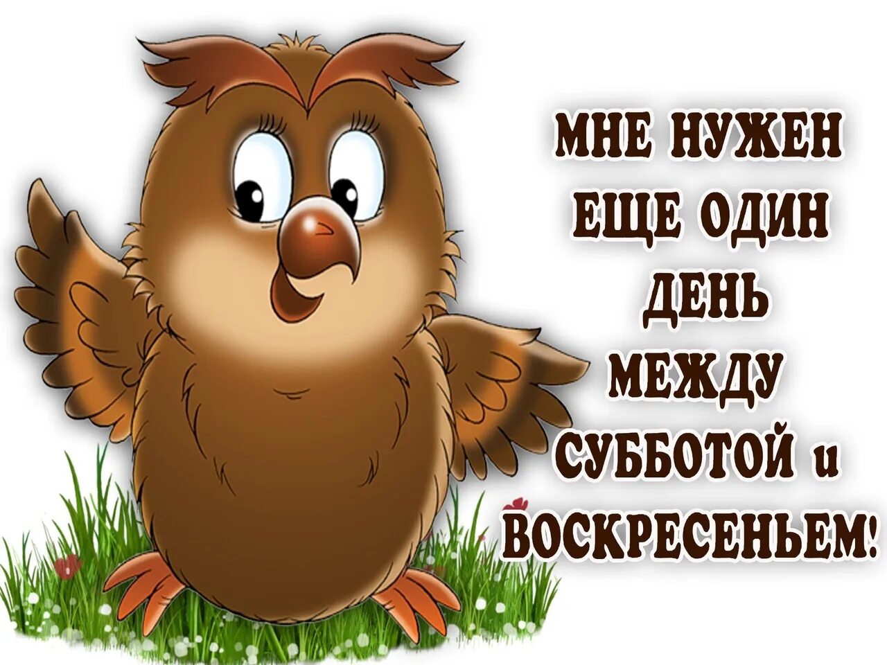 Стараемся хорошего дня. Открытки с воскресеньем прикольные. Афоризмы про воскресенье. Фразы про воскресенье. Воскресенье картинки прикольные.