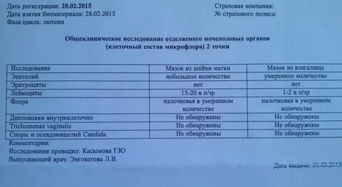 Исследование мочеполовых органов