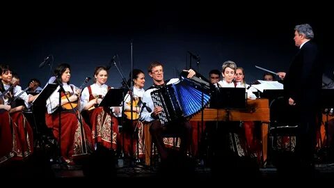 Казак за дунаем