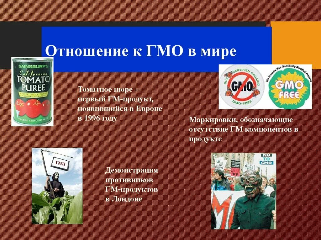 Гмо в мире. Отношение к гмо в мире. мое отношение к гмо. генномодифицированные продукты. первый гмо продукт.