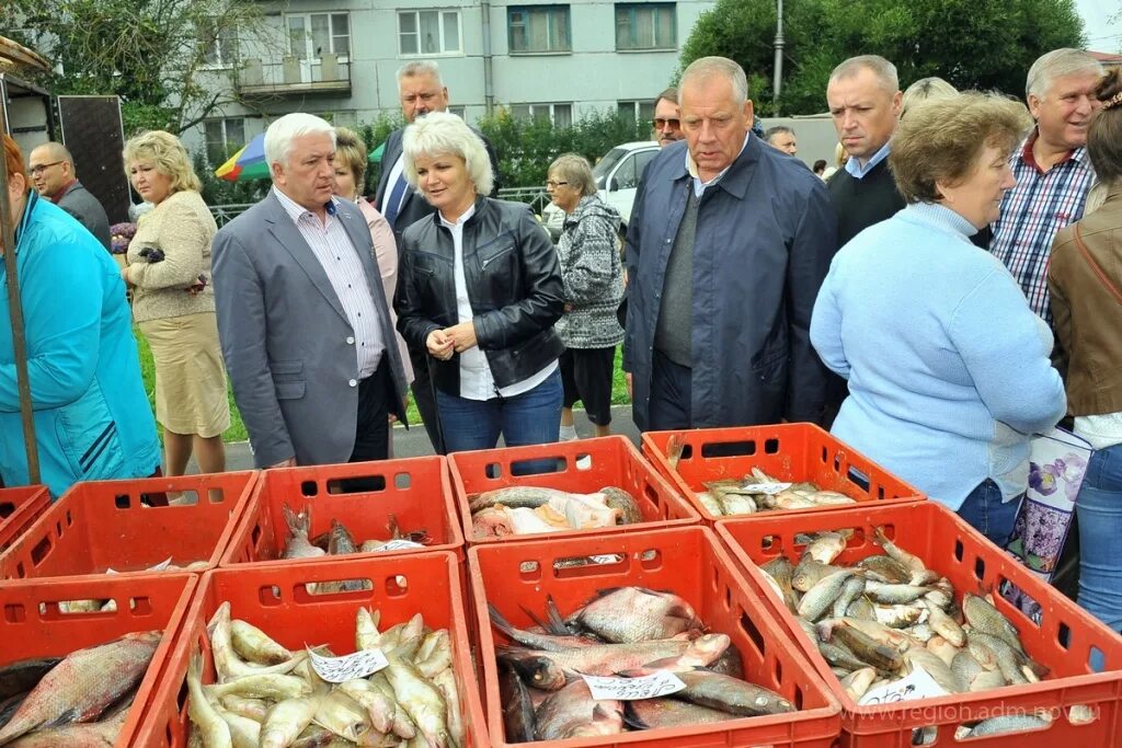 Чудово Новгородская область. Чудово фото. Ярмарка город Чудово. Ярмарка меда в городе Чудово Новгородской.