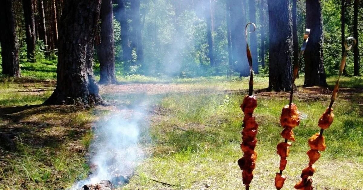 Шашлык лобня красная поляна. Шашлыки на природе. пикник шашлык на природе. пикник шашлык. поляна с шашлыками.