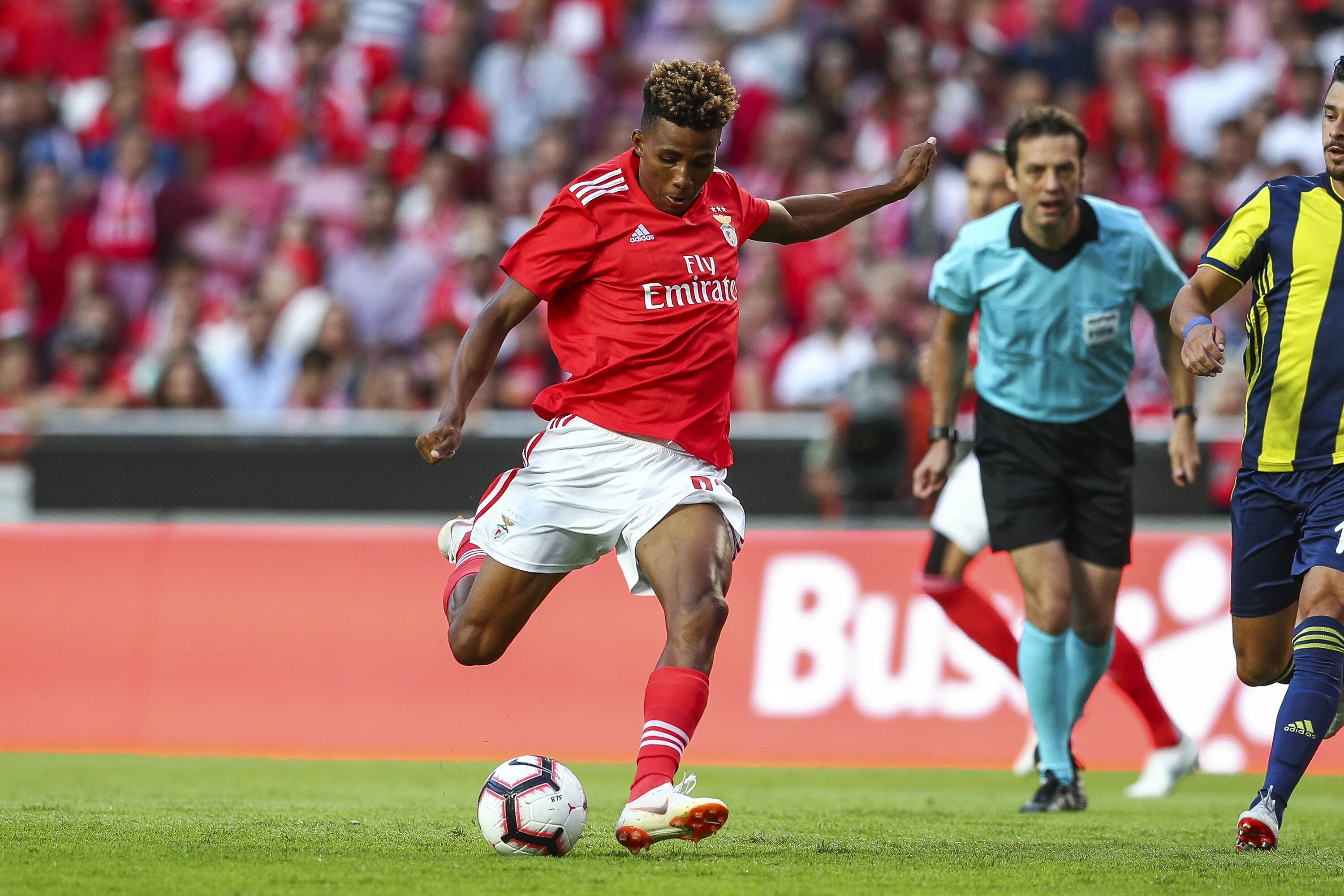 Gedson fernandes. Жедсон фернандеш зенит. Fernandes. Желсон фернандеш бенфика. Жедсон фернандеш зенит.