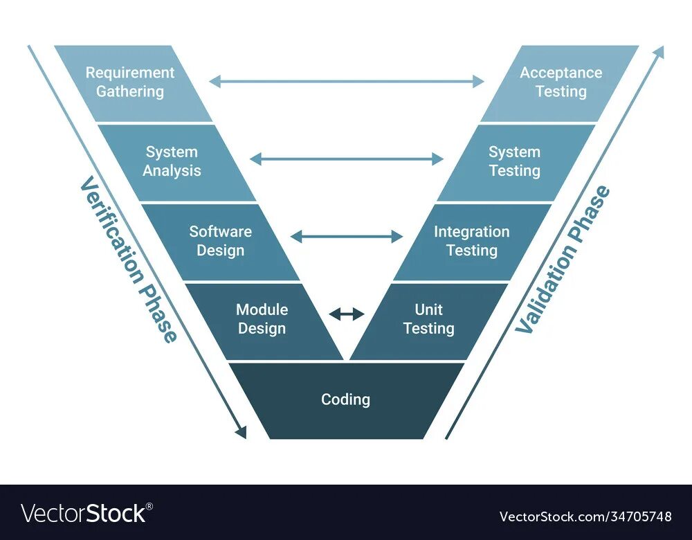 V model development