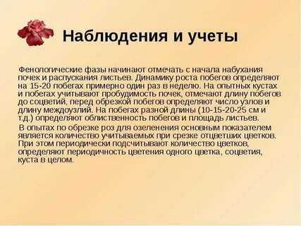Как оформить наблюдение