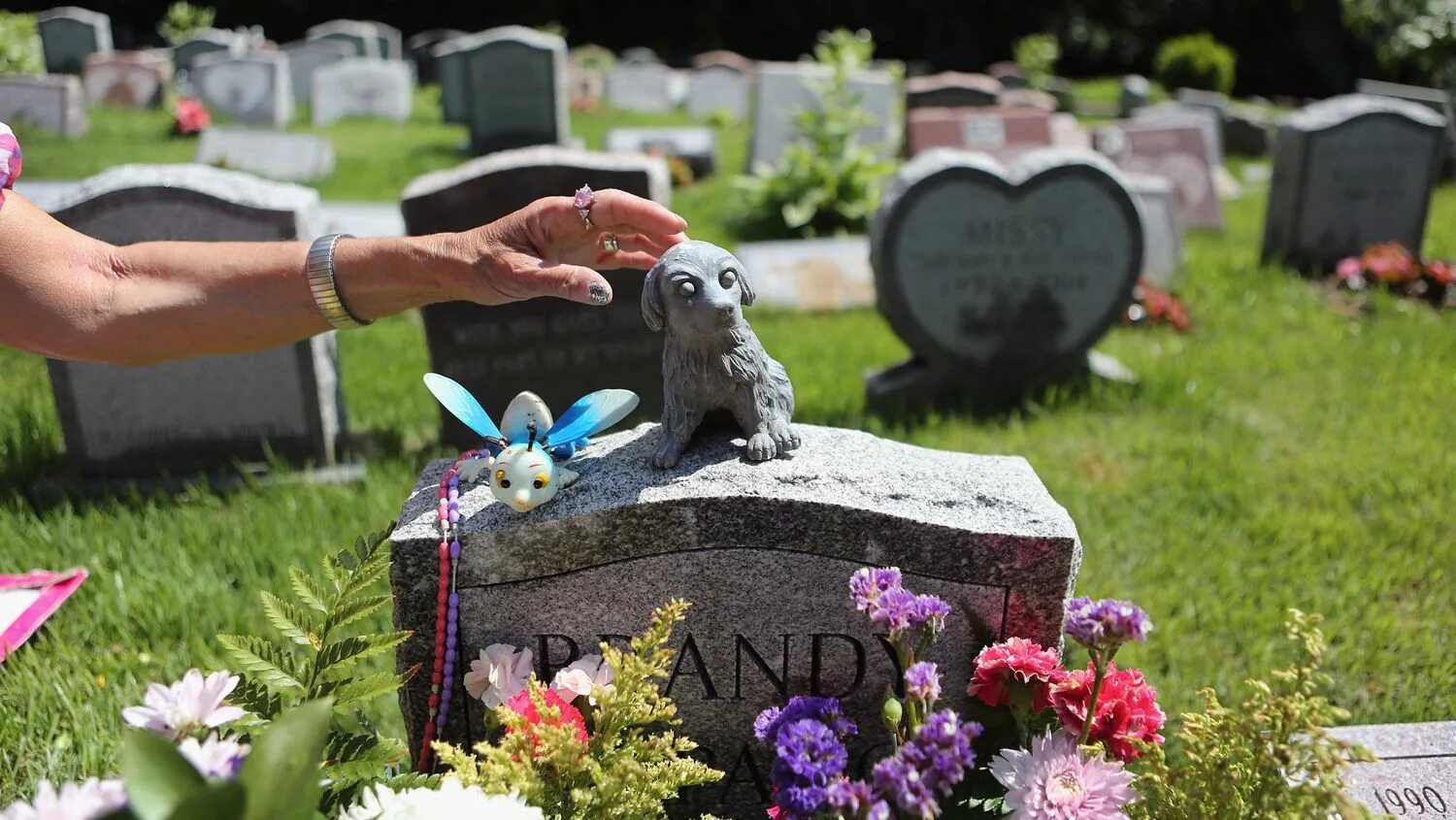 Pet cemetery. Могилки животных. Надгробие для животных. Памятника животным на кладбищах. Кладбище животных.