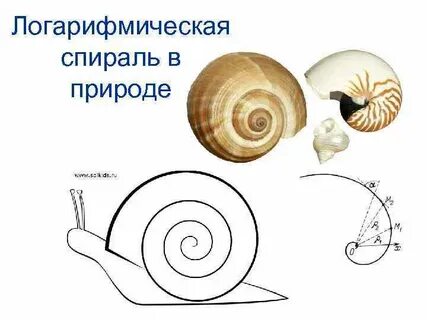Спираль в физике