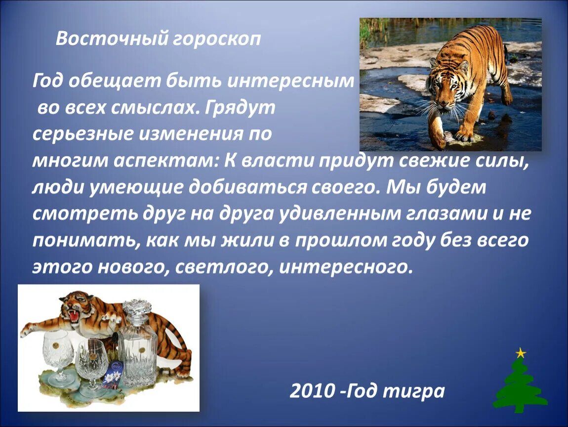 Что сулит 2024 год девам. Когда будет год тигра. Год тигра характеристика. Гороскоп 2010 год. Год тигра гороскоп.