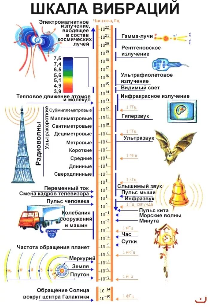 Шкала различных колебаний. Частота электромагнитных колебаний таблица. Диапазон частот акустических колебаний. Частоты электромагнитных звуковых волн таблица частот. Уровень низких частот