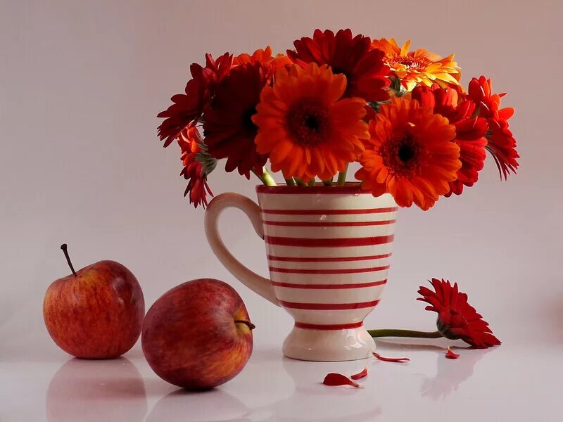Поздравление с субботой. Отличного дня. Хорошего настроения и удачного дня цветы. Цветы в кружке. Герберы натюрморт.