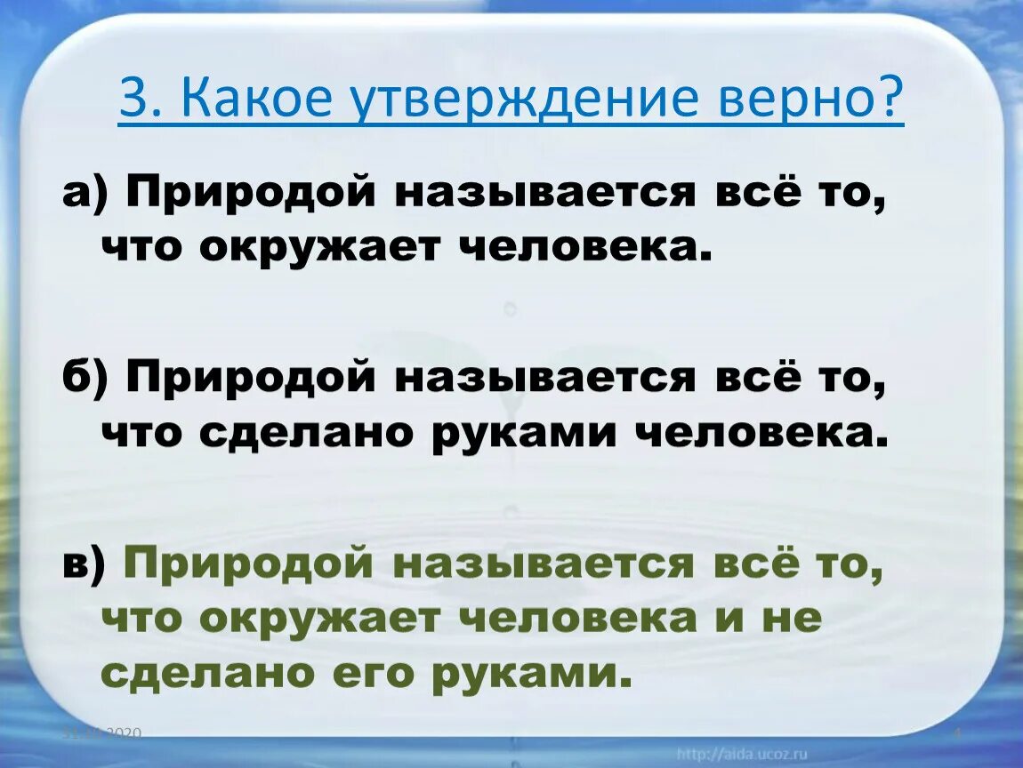 Какое утверждение верно высшие. Какое утверждение верно. Какое утверждение верное окружающий мир. Какое из утверждений верное. Какое утверждение верно:какое утверждение верно.